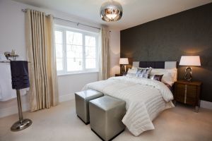 chestnut shadwell 38 sm.jpg